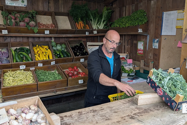 🍆🍅🥕 Venez découvrir les Jardins dans la Ville à Argentan